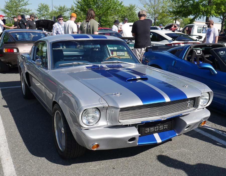 Mustang